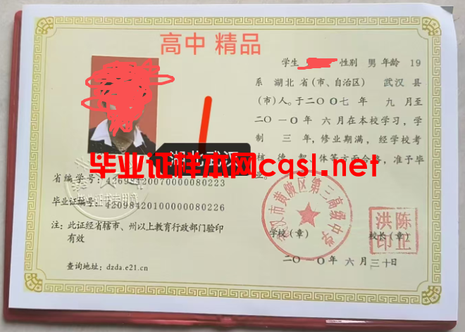 湖北2010年湖北武汉市黄陂区第三高级中学毕业证学位证模板/样本图片